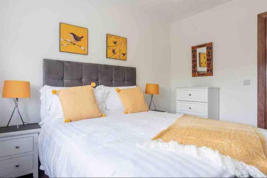 Wonderful Coastal Home In Dingle Town Luaran gambar